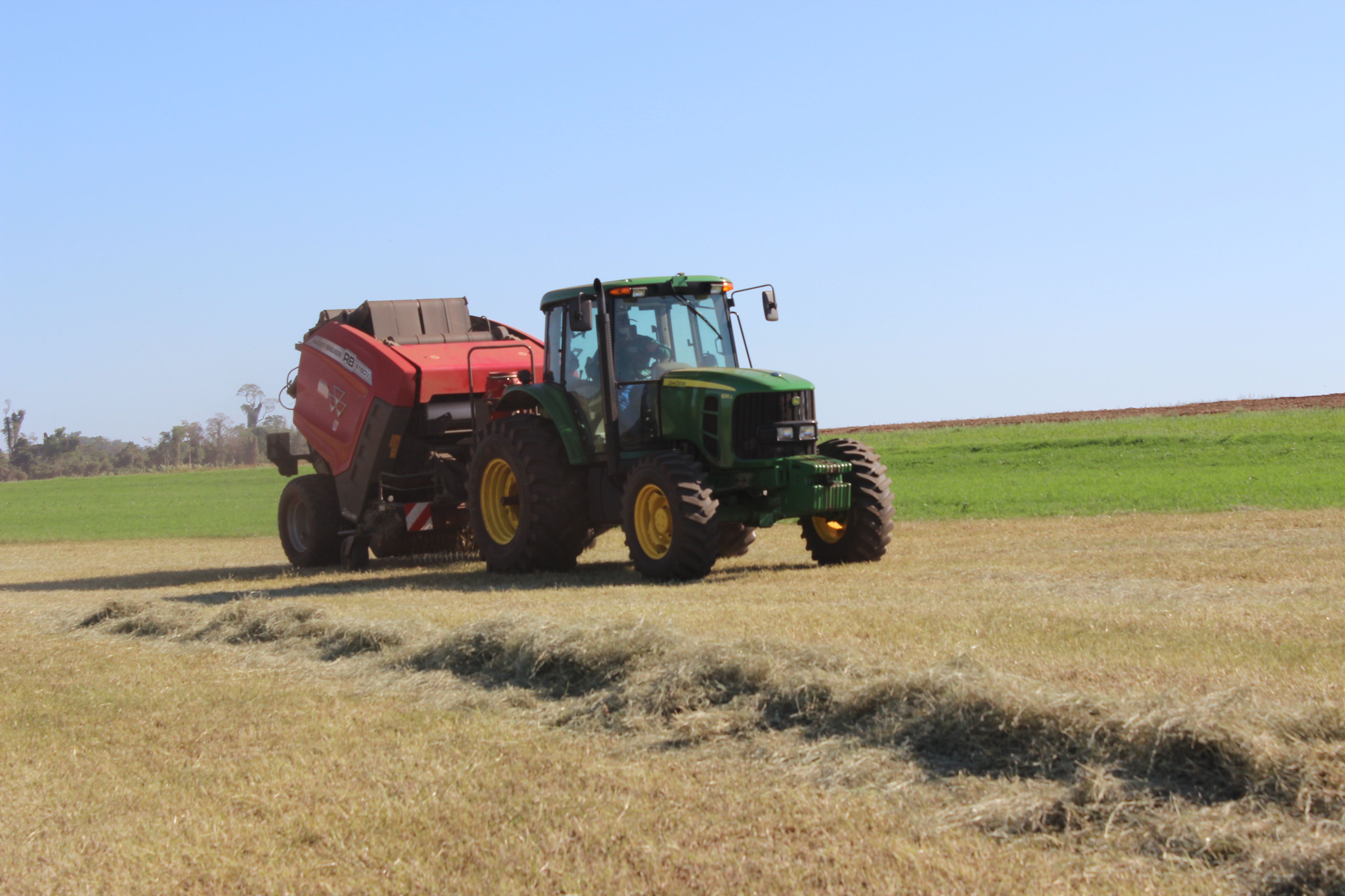 Cuidados com os campos de feno